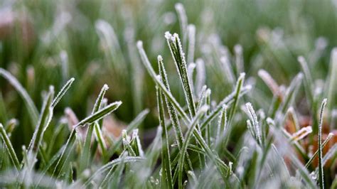 Cold temperatures still holding on: Toronto under a frost advisory